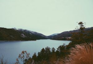 Les hébergements en location dans les campings de la Drôme, parfaits pour des vacances relaxantes et naturelles près de la rivière