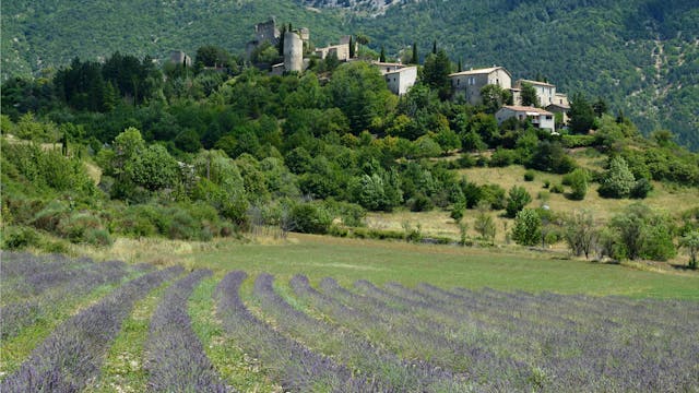 Les locations disponibles dans les campings de la Drôme, offrant confort et proximité avec la nature